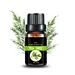 Tea Tree Oil
